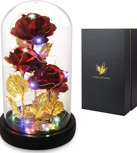 Christmas Rose Gifts for Her Beauty and the Beast Rose 24K Red Rose in Glass Dome, Light up Rose, Forever Artificial Flowers, Enchanted Red Rose Gift for Her on Valentines Day Wedding Anniversary